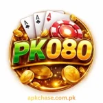 PK 080 Game interface
